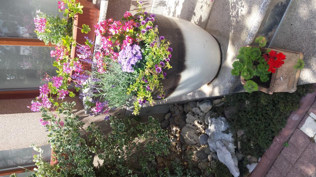 Guest House Isabel زغرب المظهر الخارجي الصورة